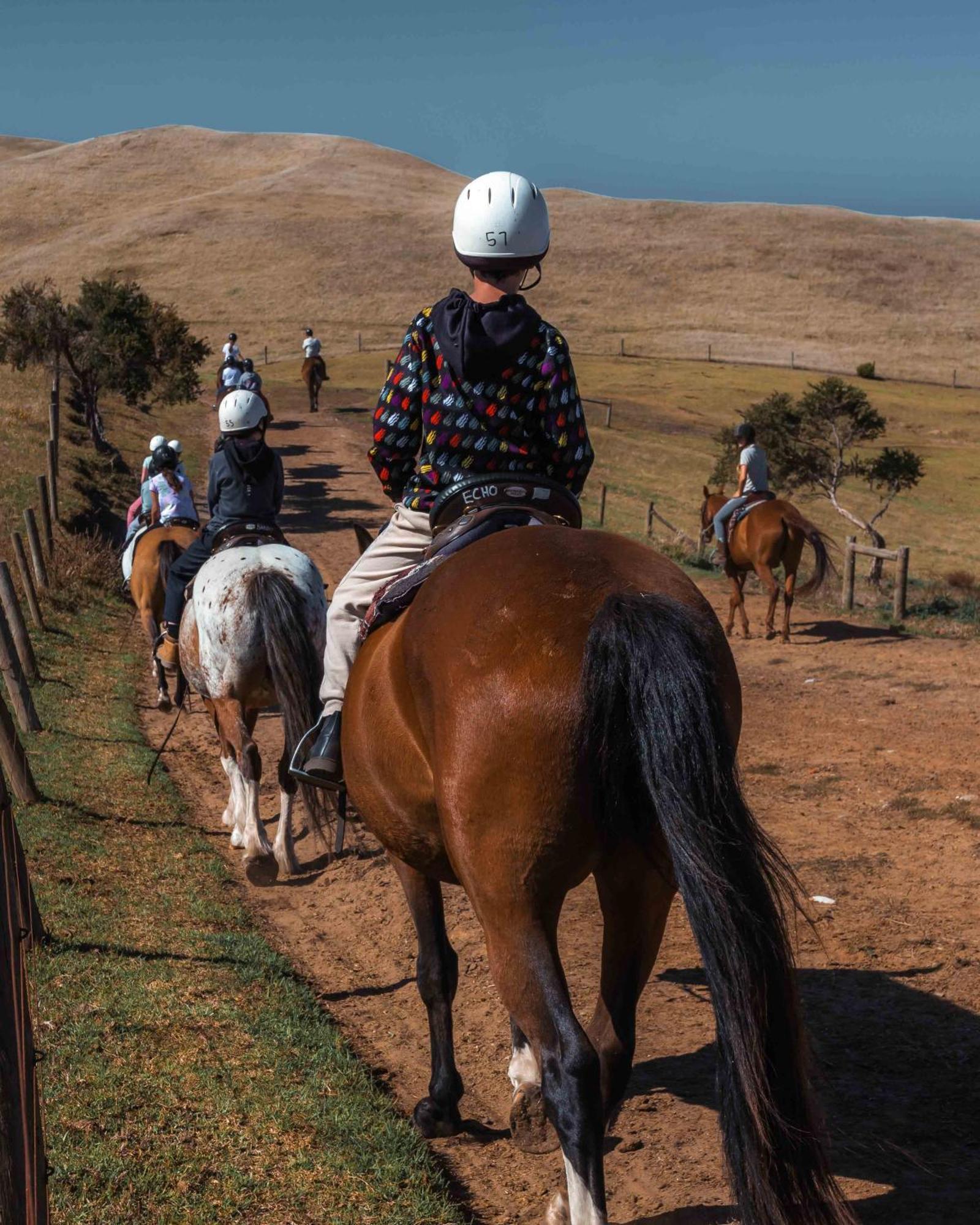 The Ranch Mornington Peninsula Villa Boneo Ngoại thất bức ảnh